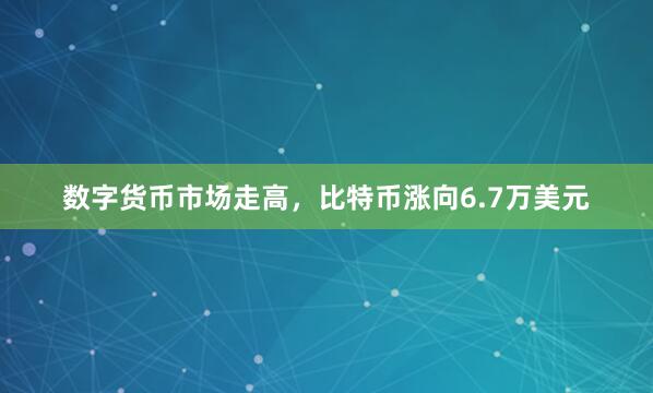 数字货币市场走高，比特币涨向6.7万美元