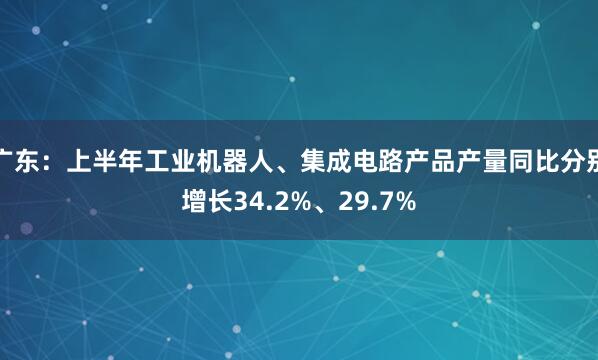 广东：上半年工业机器人、集成电路产品产量同比分别增长34.2%、29.7%
