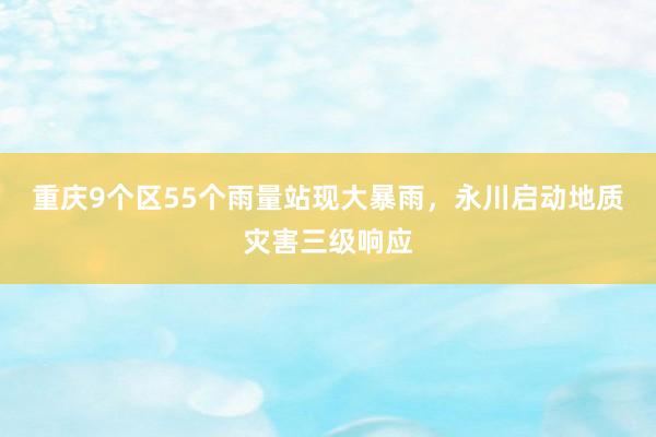 重庆9个区55个雨量站现大暴雨，永川启动地质灾害三级响应