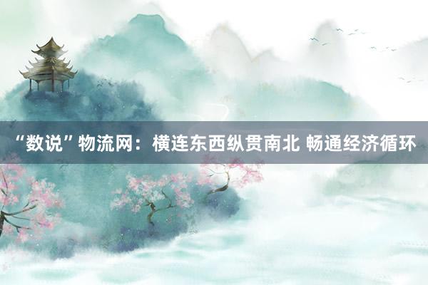 “数说”物流网：横连东西纵贯南北 畅通经济循环