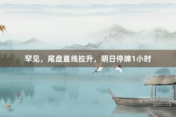 罕见，尾盘直线拉升，明日停牌1小时