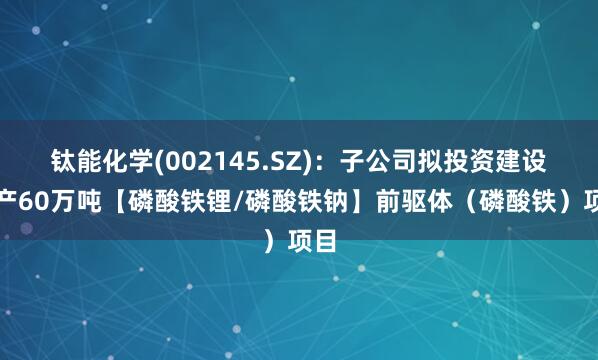 钛能化学(002145.SZ)：子公司拟投资建设年产60万吨【磷酸铁锂/磷酸铁钠】前驱体（磷酸铁）项目