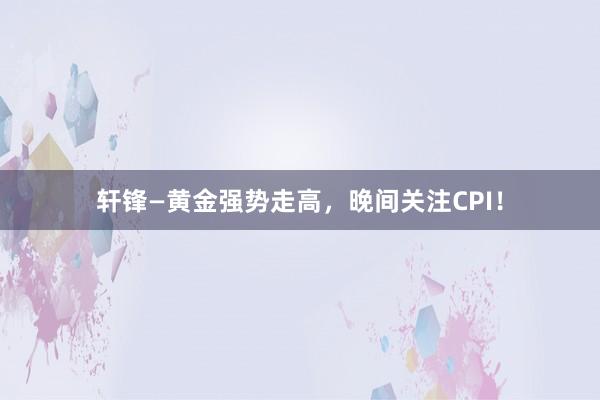 轩锋—黄金强势走高，晚间关注CPI！