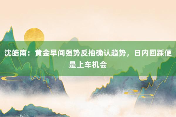 沈皓南：黄金早间强势反抽确认趋势，日内回踩便是上车机会