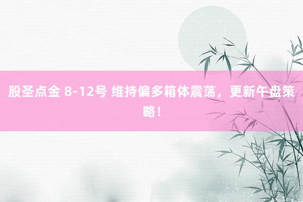 股圣点金 8-12号 维持偏多箱体震荡，更新午盘策略！