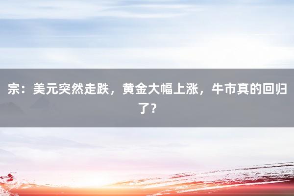 宗：美元突然走跌，黄金大幅上涨，牛市真的回归了？