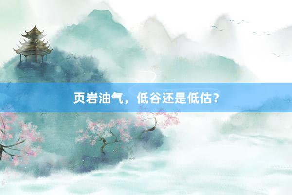页岩油气，低谷还是低估？