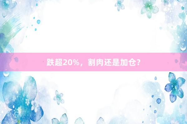 跌超20%，割肉还是加仓？
