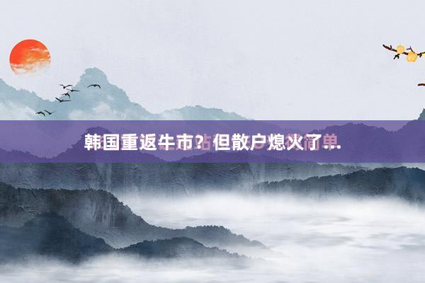 韩国重返牛市？但散户熄火了...