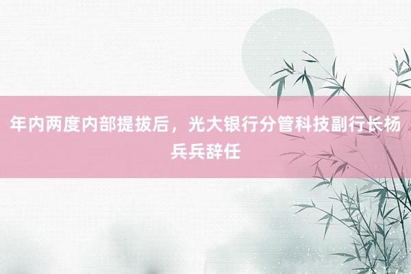 年内两度内部提拔后，光大银行分管科技副行长杨兵兵辞任