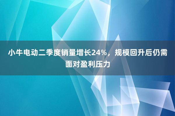 小牛电动二季度销量增长24%，规模回升后仍需面对盈利压力