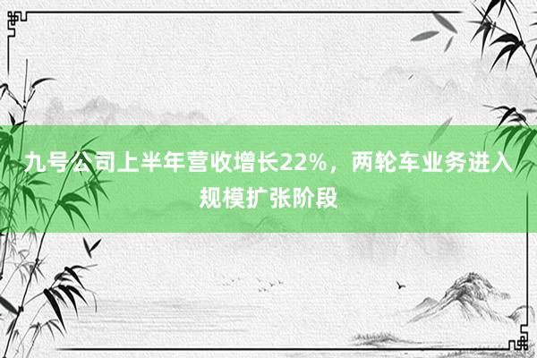 九号公司上半年营收增长22%，两轮车业务进入规模扩张阶段
