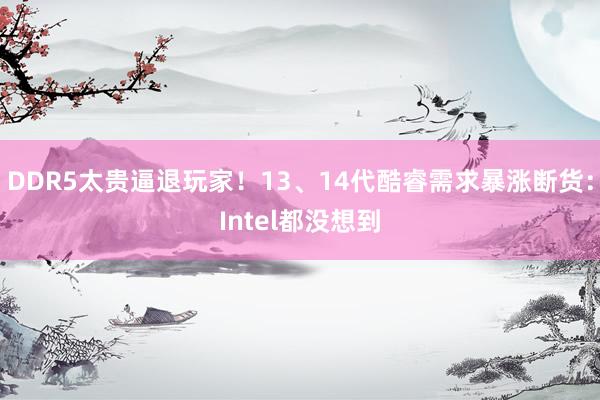DDR5太贵逼退玩家！13、14代酷睿需求暴涨断货：Intel都没想到