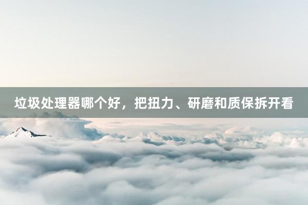 垃圾处理器哪个好，把扭力、研磨和质保拆开看