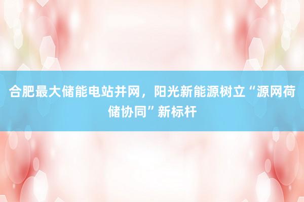 合肥最大储能电站并网，阳光新能源树立“源网荷储协同”新标杆