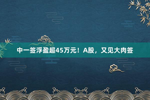 中一签浮盈超45万元！A股，又见大肉签