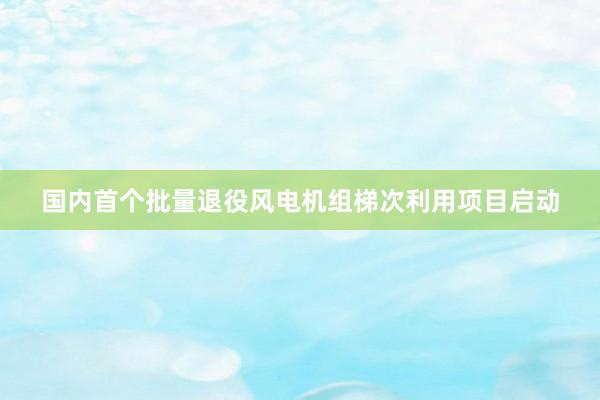 国内首个批量退役风电机组梯次利用项目启动