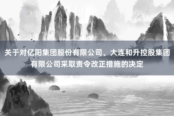 关于对亿阳集团股份有限公司、大连和升控股集团有限公司采取责令改正措施的决定