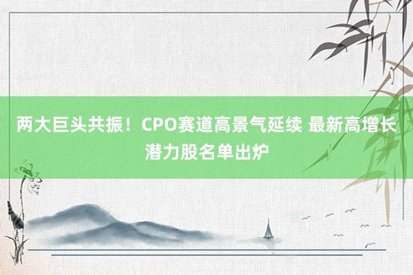 两大巨头共振！CPO赛道高景气延续 最新高增长潜力股名单出炉