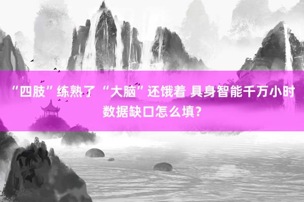 “四肢”练熟了 “大脑”还饿着 具身智能千万小时数据缺口怎么填？
