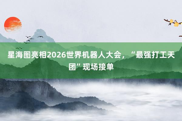 星海图亮相2026世界机器人大会，“最强打工天团”现场接单