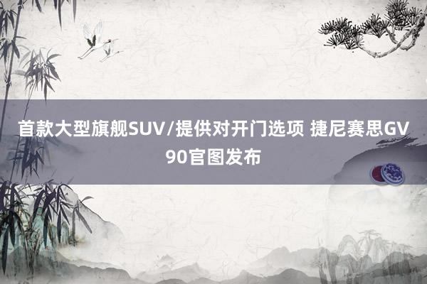 首款大型旗舰SUV/提供对开门选项 捷尼赛思GV90官图发布
