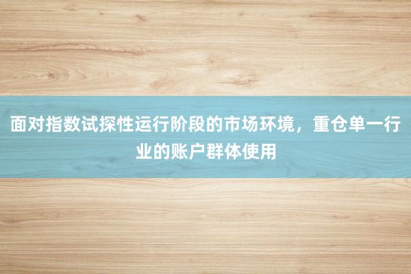 面对指数试探性运行阶段的市场环境，重仓单一行业的账户群体使用