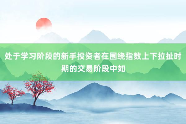 处于学习阶段的新手投资者在围绕指数上下拉扯时期的交易阶段中如