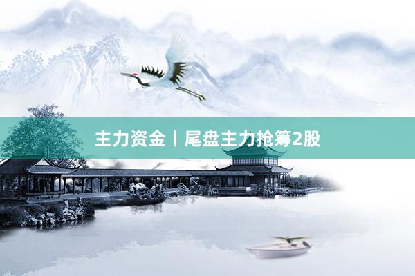 主力资金丨尾盘主力抢筹2股