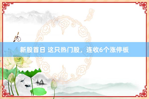 新股首日 这只热门股，连收6个涨停板