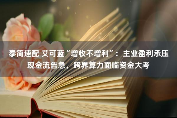 泰简速配 艾可蓝“增收不增利”：主业盈利承压现金流告急，跨界算力面临资金大考
