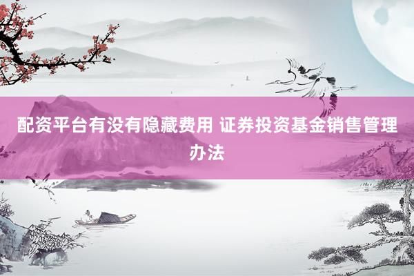 配资平台有没有隐藏费用 证券投资基金销售管理办法