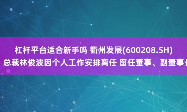 杠杆平台适合新手吗 衢州发展(600208.SH)：总裁林俊波因个人工作安排离任 留任董事、副董事长